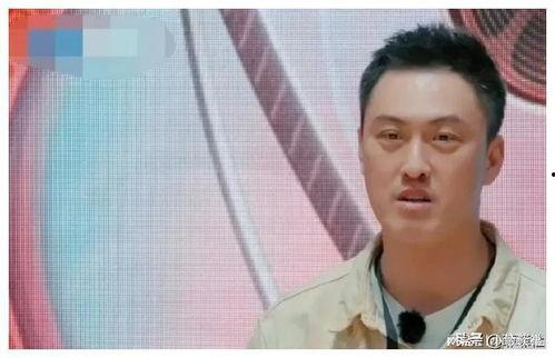 最新吃瓜爆料娱乐圈小说,揭秘明星背后的秘密与爱恨情仇