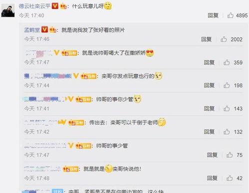 娱乐吃瓜君评论区临沂